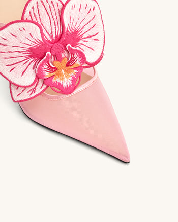 Sofia 오키드 스피어 힐 뮬 - 핑크