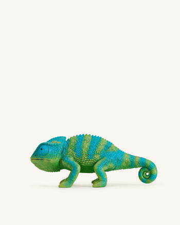 Hazel 카멜레온 클러치 - 그린/블루